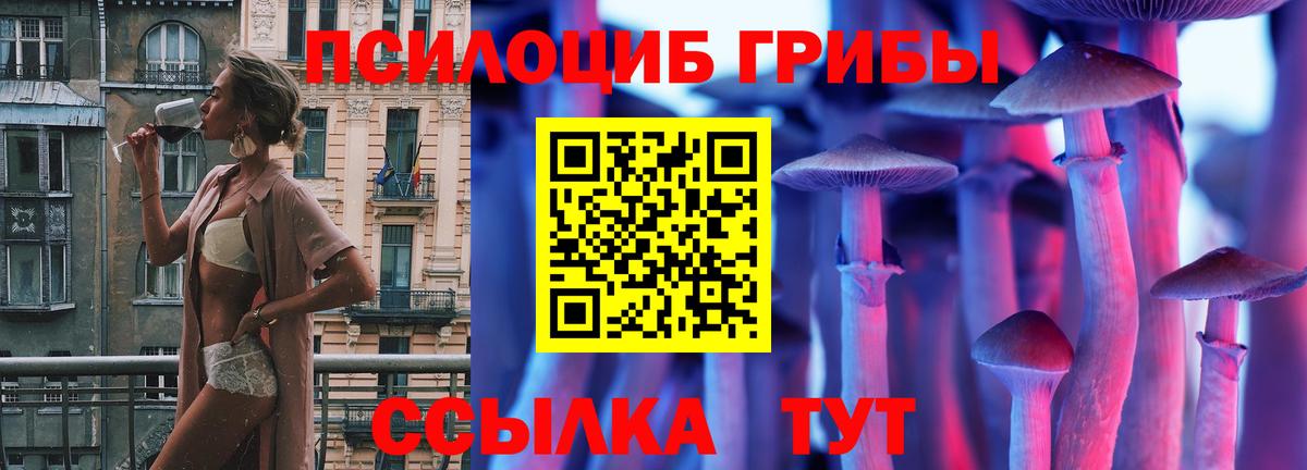Кудрово  Галлюциногенные грибы мухоморы  Вход с VPN 